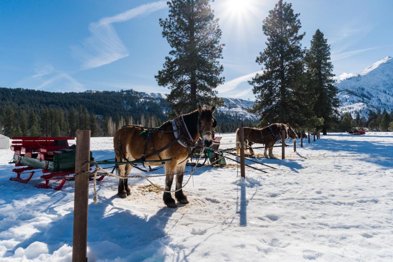 Aspen Suites 505: Enchantment Abode Leavenworth Exterior photo
